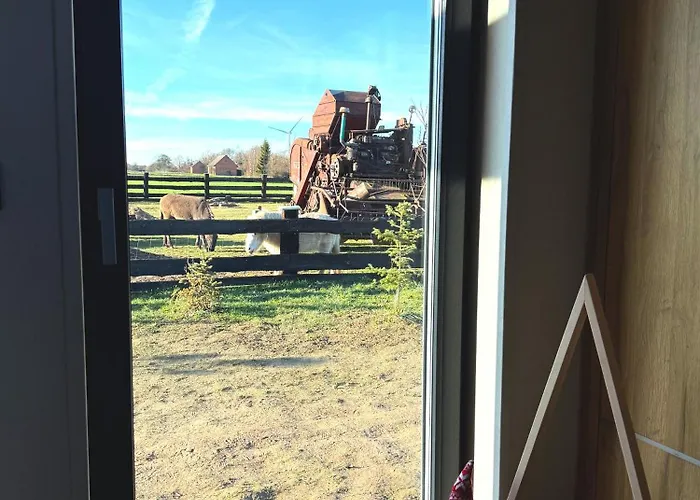 Lesna Balia - Z Balia Na Wylacznosc Villa *